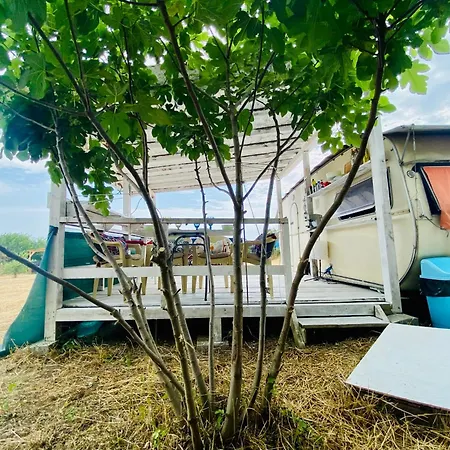 каравана робинзон крузо